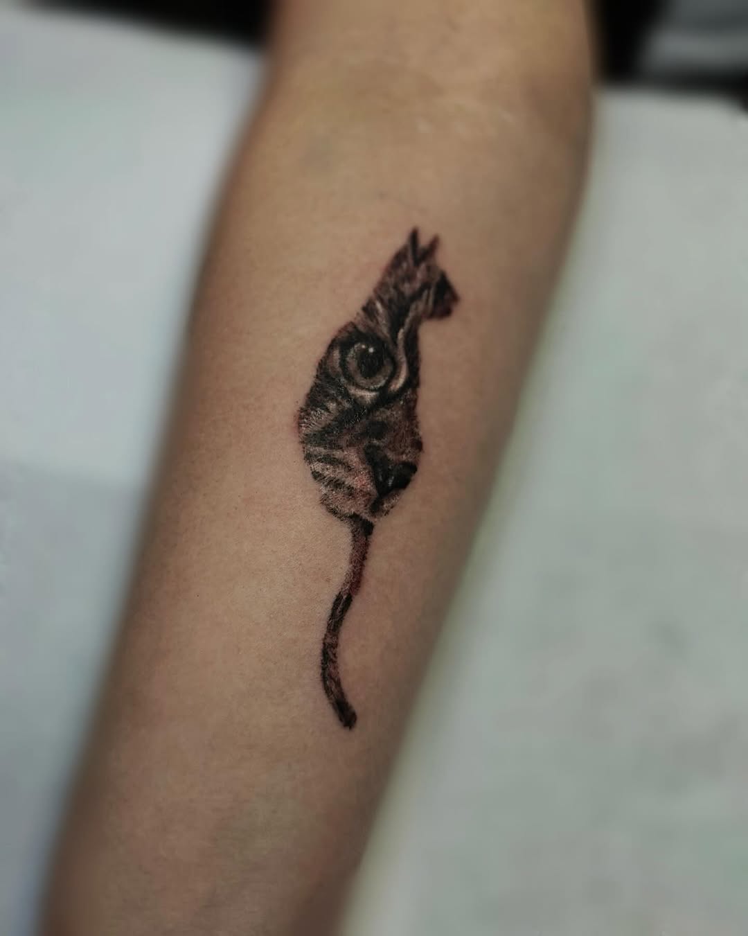 Tatuaż wykonany w Under Zone Tattoo Studio Jelenia Góra — praca nr 58